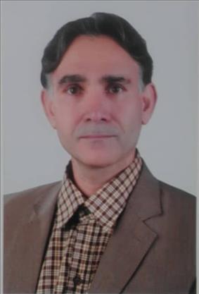 دکتر سید هادی حسینی
